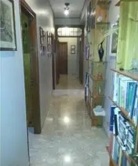 Centro città: Vendita Cinque locali in Viale Scala Greca