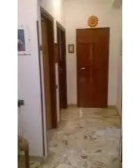 Zona Tunisi Trilocale