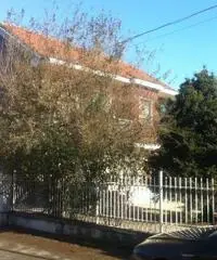 Villa Bifamiliare con terrazzo in via privata zona residenziale