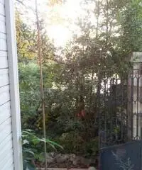 Appartamentino con giardino in zona centrale