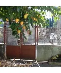 Vendita Villa in Via A. de Almerigotti Vendita Villa in Via A. de Almerigotti