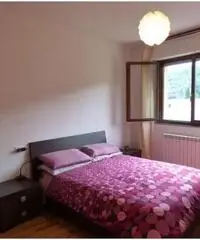 Appena ribassato