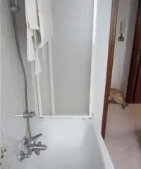 Appartamento di 2 locali in Affitto