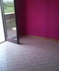 Saltara Vendita Appartamento