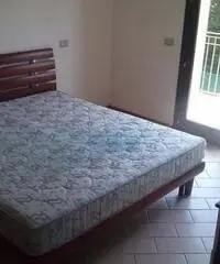 Saltara Vendita Appartamento