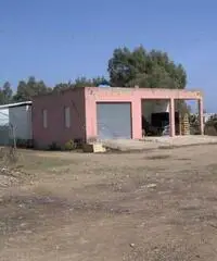 Piccola azienda agricola con serre in ferro e vetro