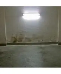 Box in Affitto a 130