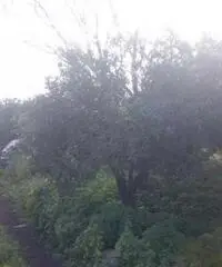 Terreno Altro in Vendita