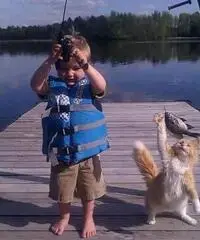 Signora milanese baby-sitter a Trieste Signora milanese baby-sitter a Trieste