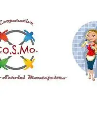 SERVIZIO DI PULIZIA E DISINFESTAZIONE AMBIENTI. SERVIZIO DI PULIZIA E DISINFESTAZIONE AMBIENTI.