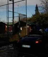 cerco collaboratrice-domestica-convivente in mia villa con annessa att