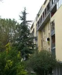 Appartamento in Vendita di 71mq