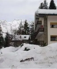 Courmayeur Affitto Appartamento