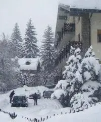 Courmayeur Affitto Appartamento