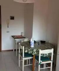 Appartamento zona Cisanello V.Paolo VI