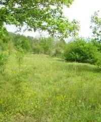 Terreno Altro in Vendita