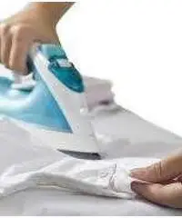 colf-badante-tata-la donna delle pulizie e stiro a solo 8 euro-