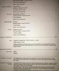 Cerco lavoro Cerco lavoro
