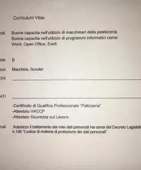 Cerco lavoro