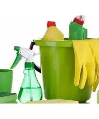donna delle pulizie domestiche e stiro donna delle pulizie domestiche e stiro