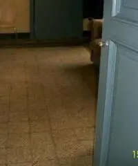 Ufficio in Vendita di 250mq