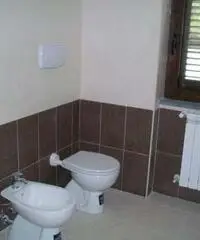 Affitto Appartamento a Lanciano