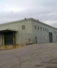 Affitto Capannone in Strada Provinciale 15a