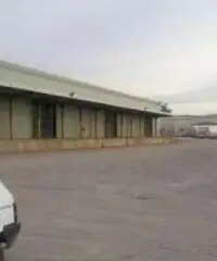 Affitto Capannone in Strada Provinciale 15a