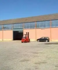 Affitto Capannone in Strada Provinciale 15a