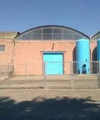 Affitto Capannone in Strada Provinciale 15a