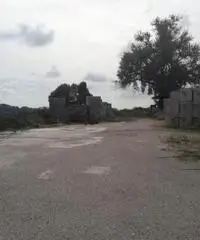 Affitto Capannone in Via dell'Aspro, 55