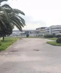 Affitto Capannone in Via Pontina Vecchia