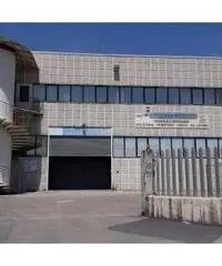 Affitto Capannone in Via Traspontina