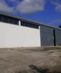 Affitto Capannone in Via della Neccia Ovest