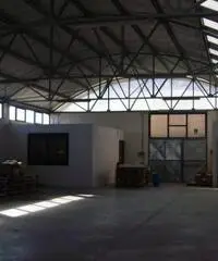 Affitto Capannone in Via della Neccia Ovest