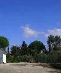 Affitto Capannone in Via della Neccia Ovest