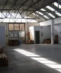 Affitto Capannone in Via della Neccia Ovest