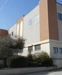 Affitto Capannone in via della Sviluppo