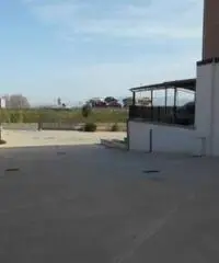 Affitto Capannone in via della Sviluppo