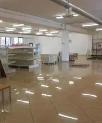 Affitto Capannone in via della Sviluppo