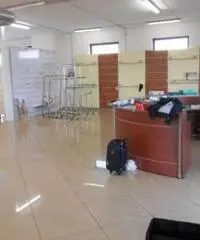 Affitto Capannone in via della Sviluppo