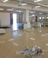 Affitto Capannone in via della Sviluppo