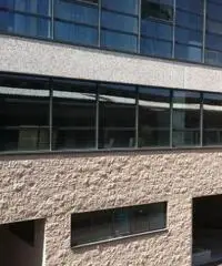 Affitto Laboratorio in Via degli Olmetti