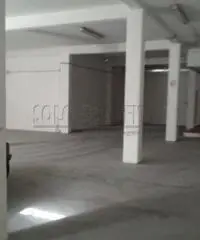 Affitto Magazzino in via dei glicini