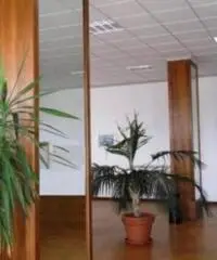 Affitto Magazzino in via Tiberina