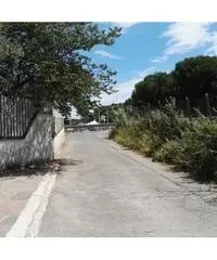 Affitto Magazzino in Via Appia Nuova, 21