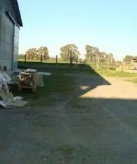 Affitto Magazzino in Via Casale di Castellaccio