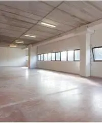 Affitto Magazzino in Via degli Olmetti