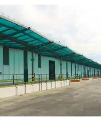 Affitto Magazzino in Via Pontina Vecchia