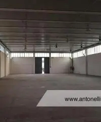 Albano Laziale -  Capannone 9 locali € 3.000 CA902